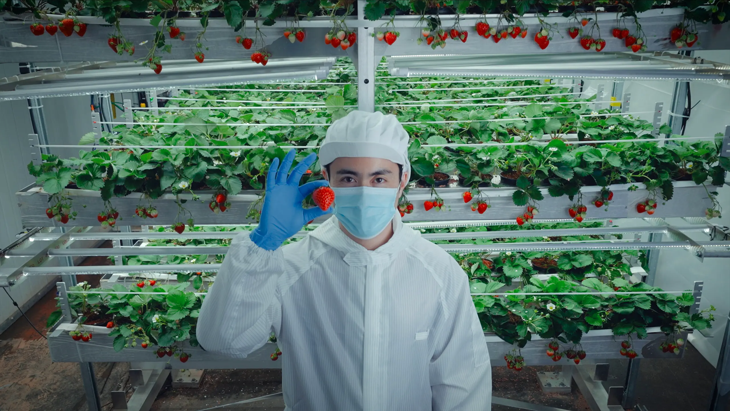 Oishii Farm  The Farm of the Future 