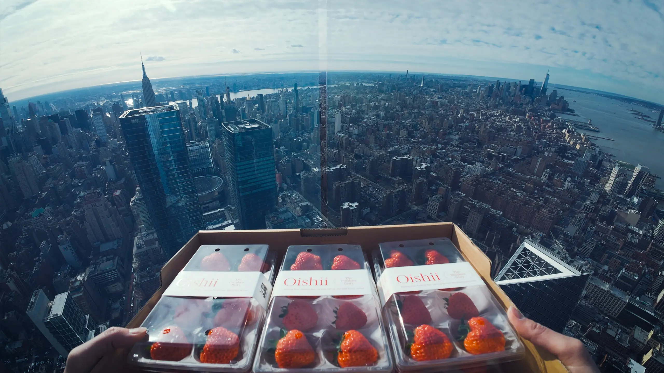 Oishii Farm | The Farm of the Future