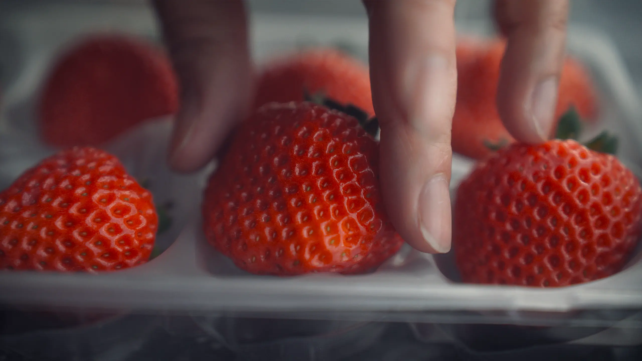 Oishii Farm | The Farm of the Future