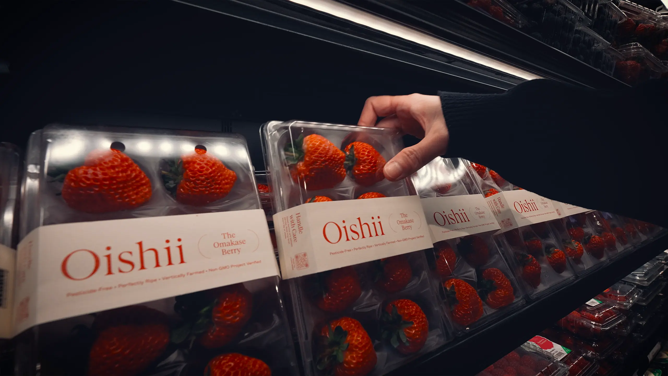 Oishii Farm | The Farm of the Future