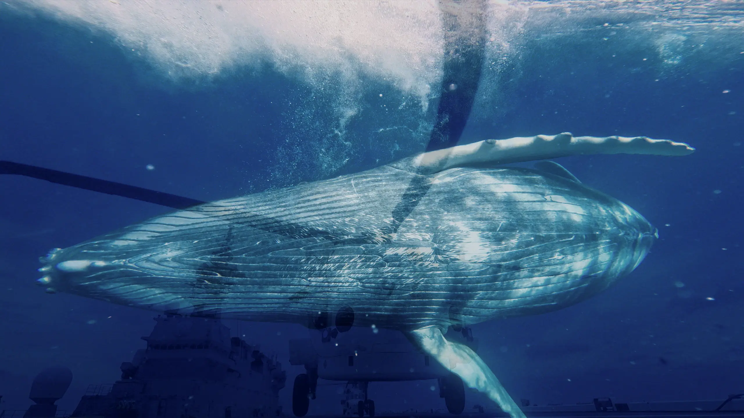 NEC | 水中音響通信がつくる未来